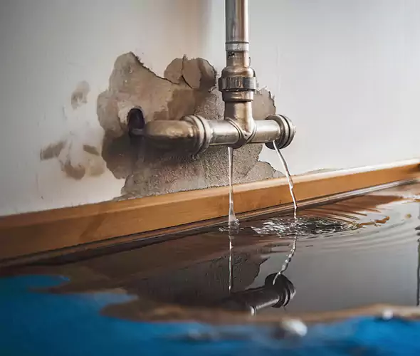 Professional Water Damage Restoration Experts in Lynn, MA — Fast, Reliable & Certified