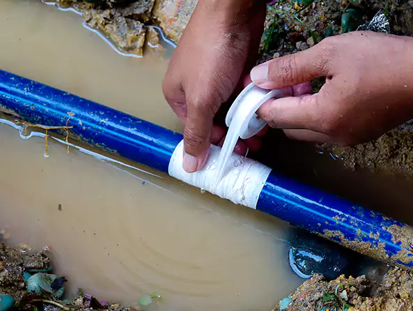  Why Choose Lynn's Plumbing for Leak Detection in Lynn, MA?]