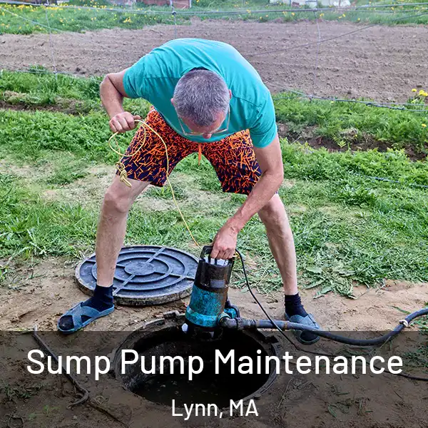  Sump Pump Maintenance Lynn, MA
