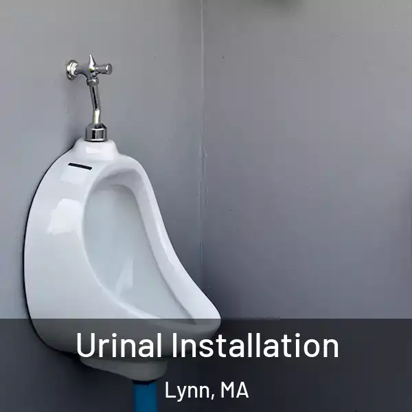  Urinal Installation Lynn, MA